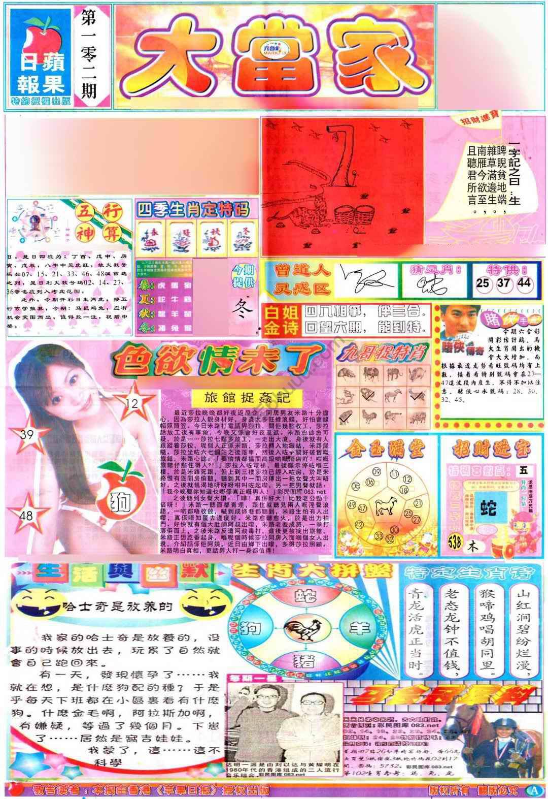 大当家