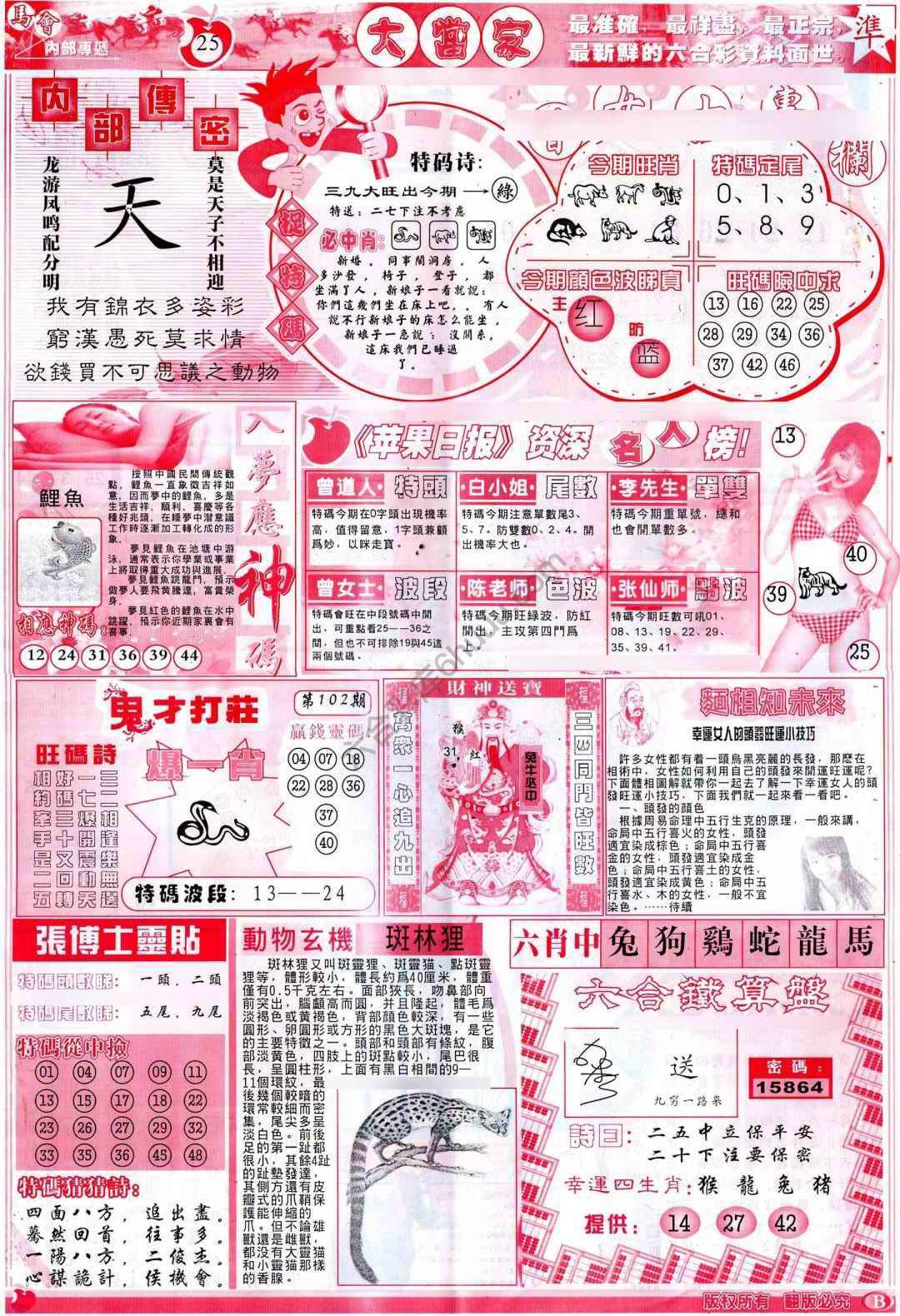 大当家