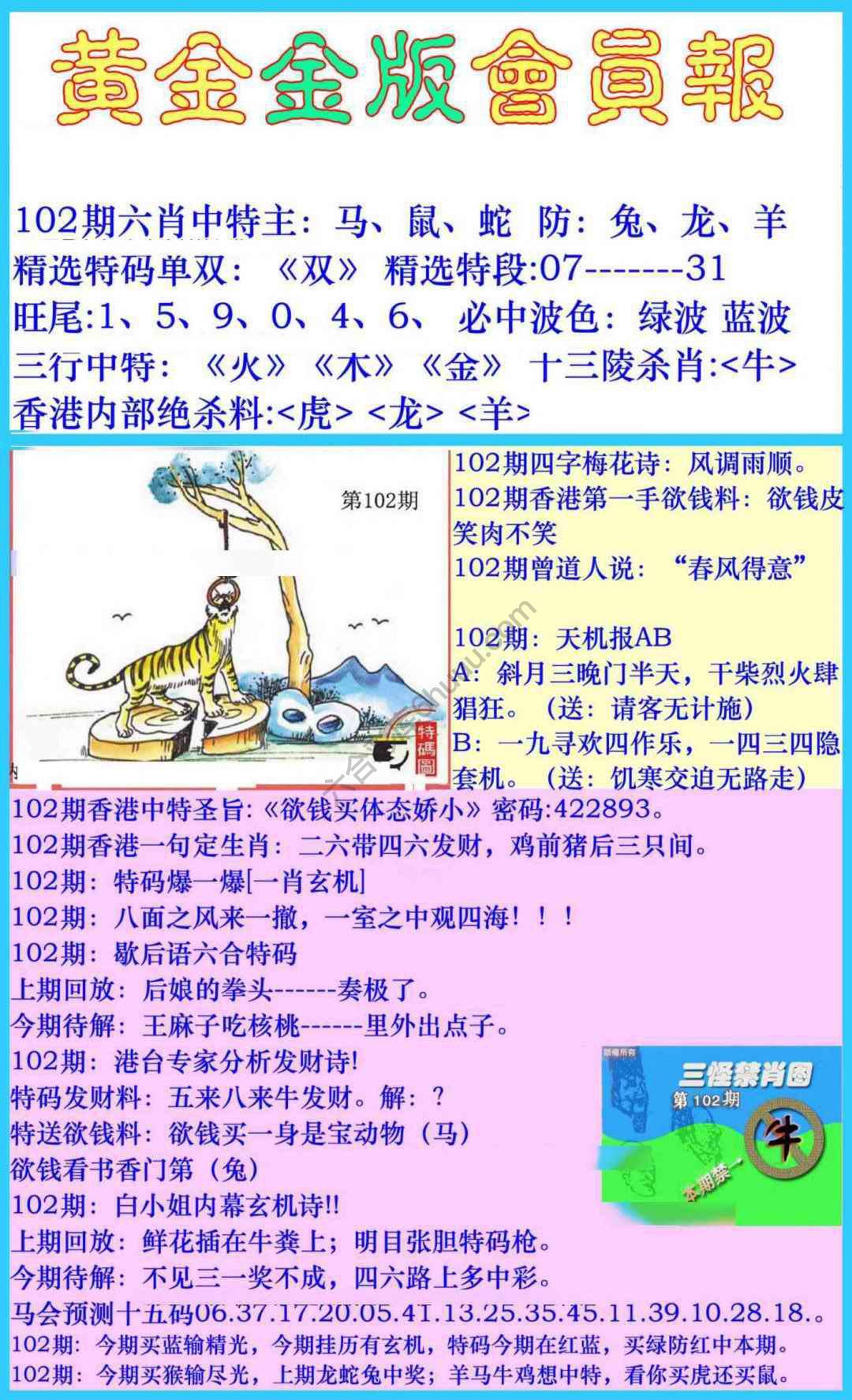 黄金金版会员报