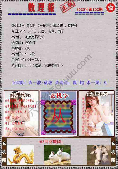 数理报