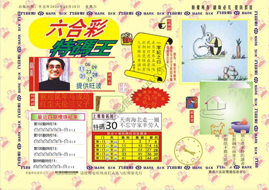 特码王