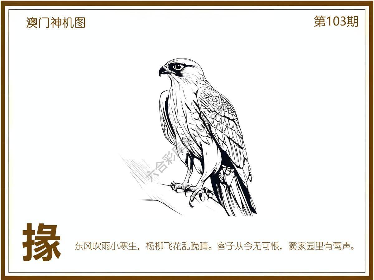 澳门神机图