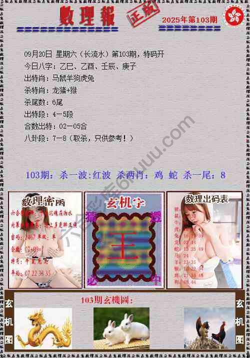 数理报
