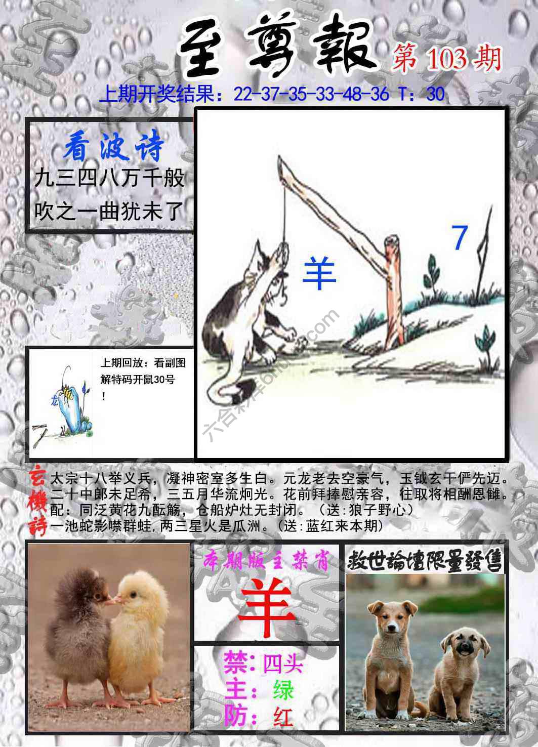 至尊报