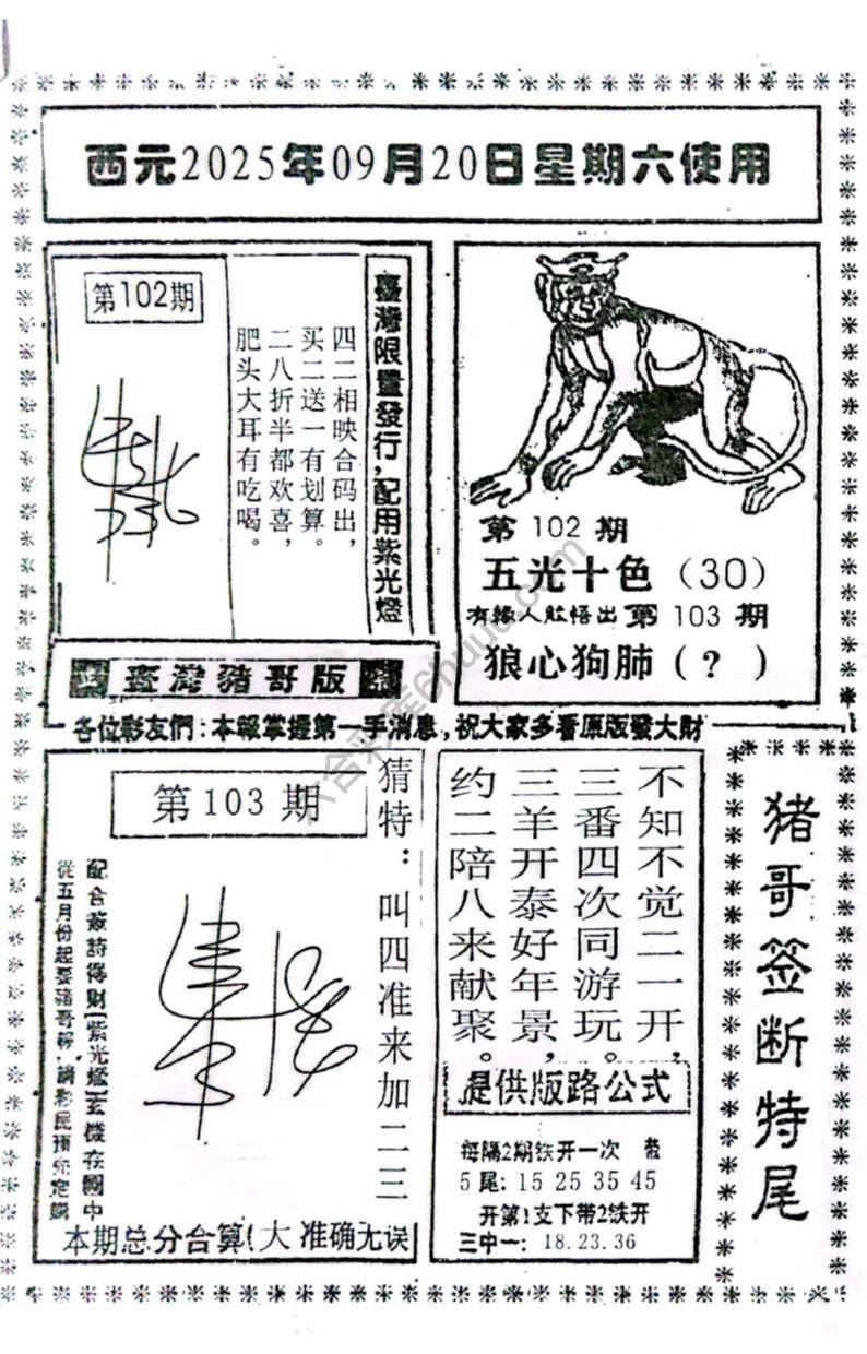 猪哥签断特尾