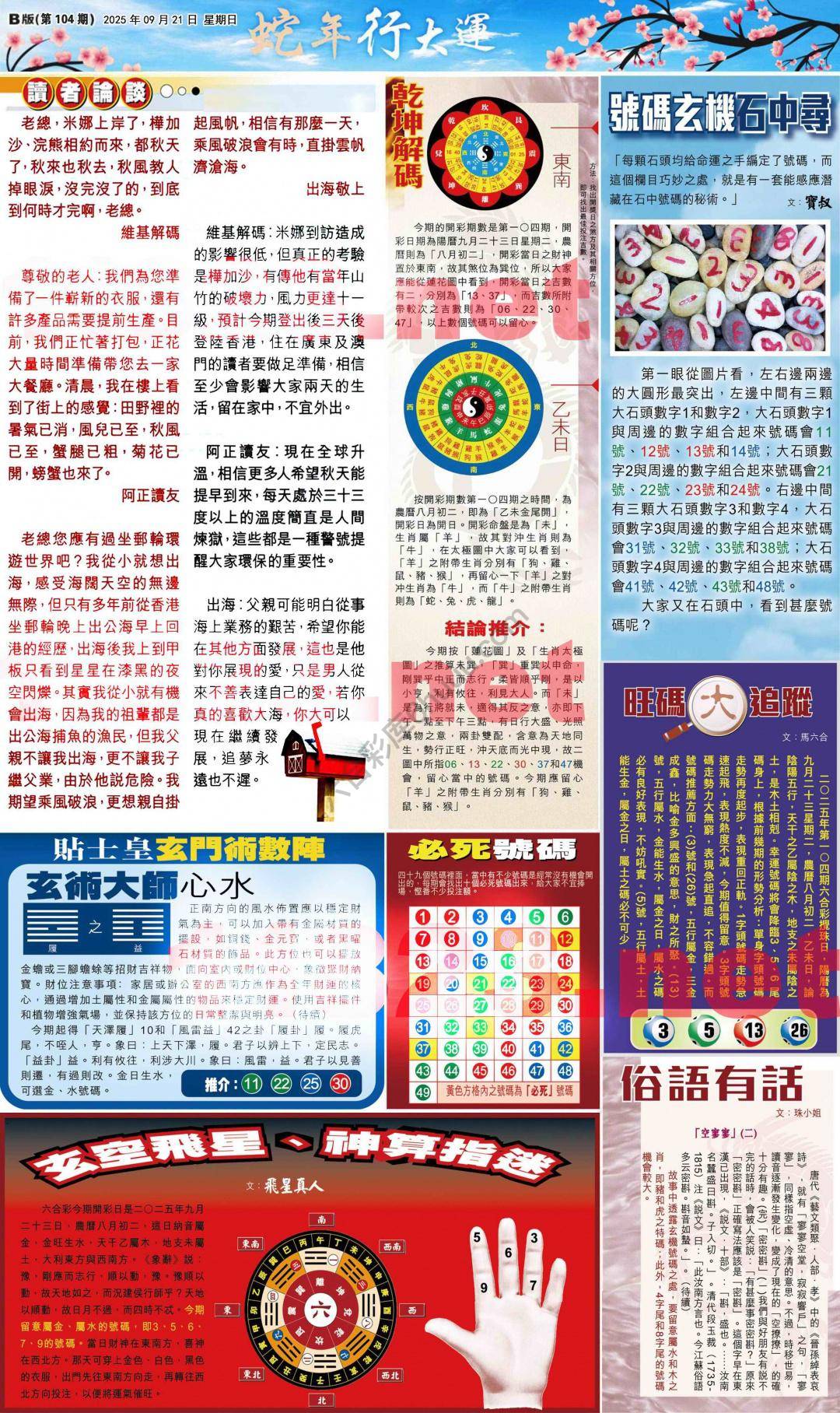 大版贴士皇