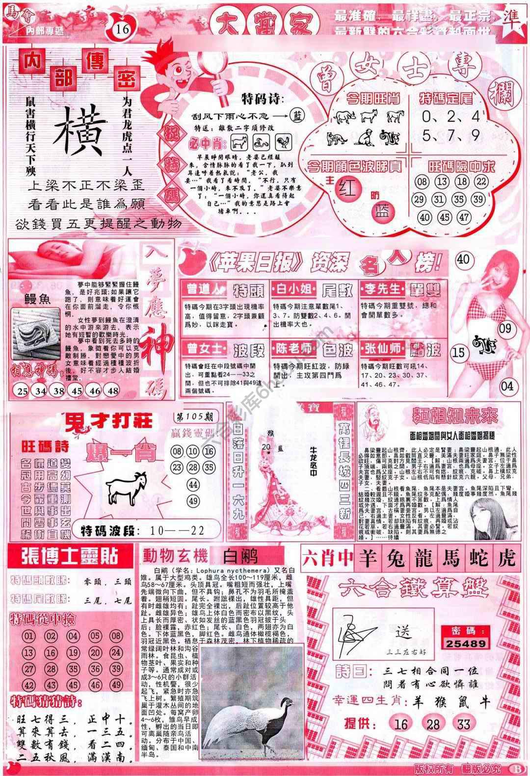 大当家