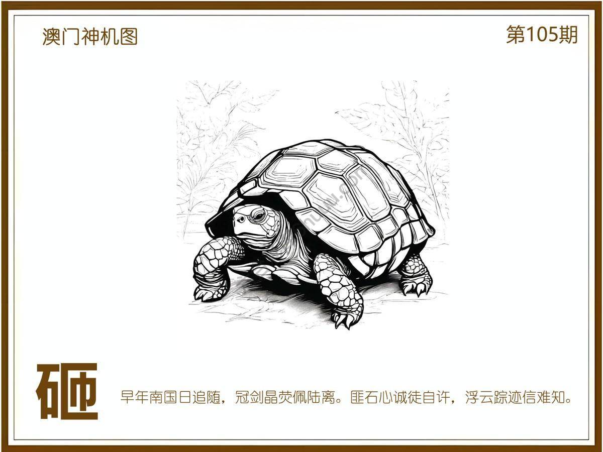 澳门神机图