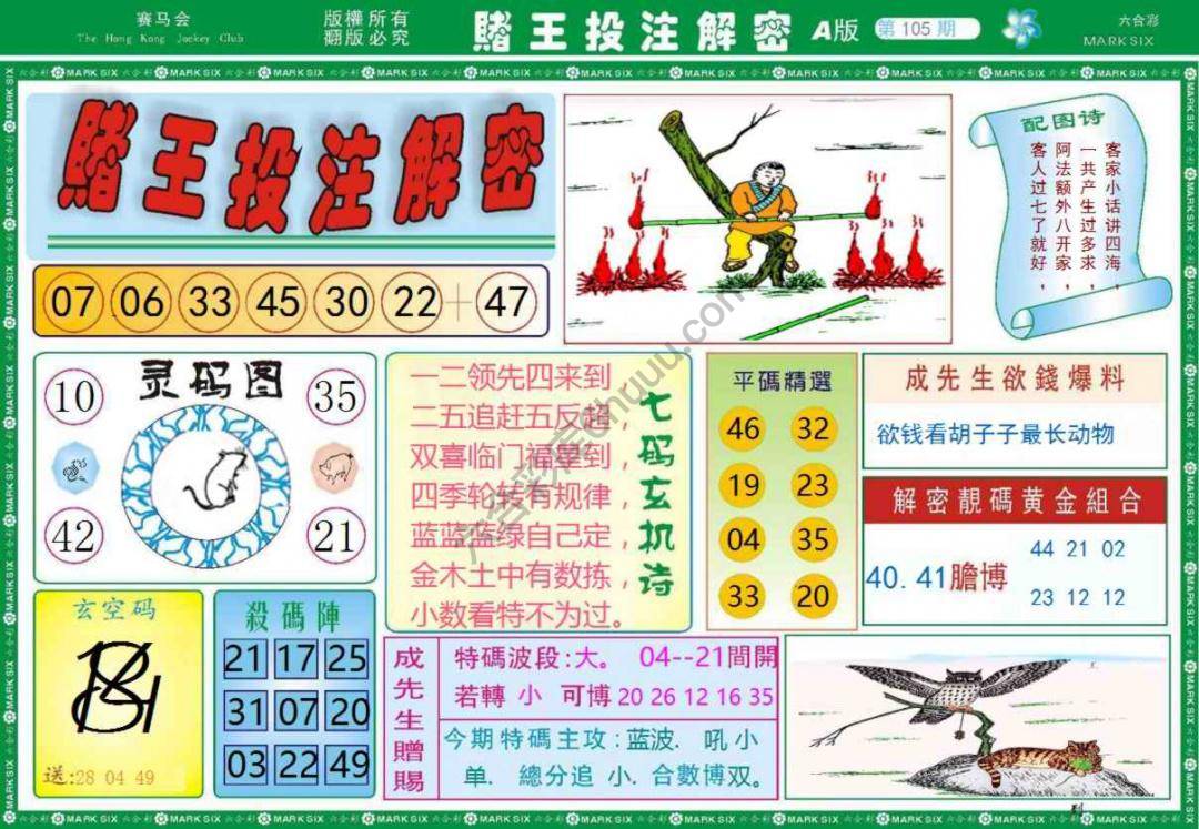 赌王投注解密