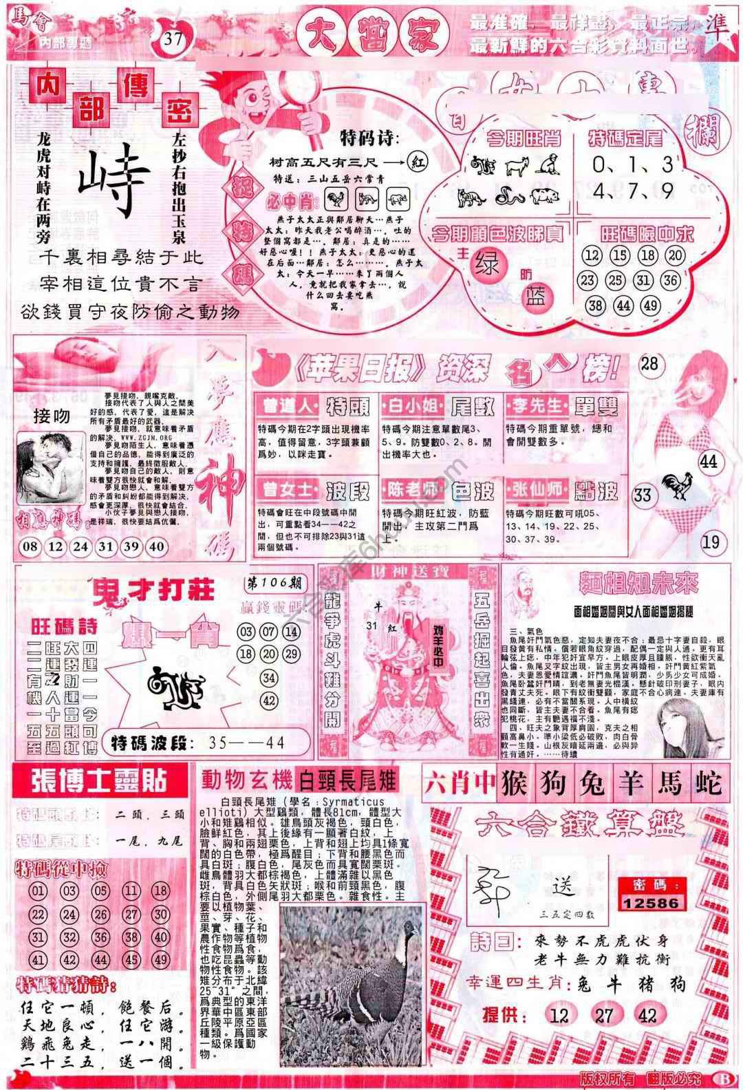 大当家