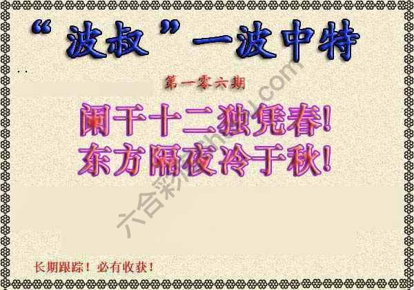 波叔一波中特