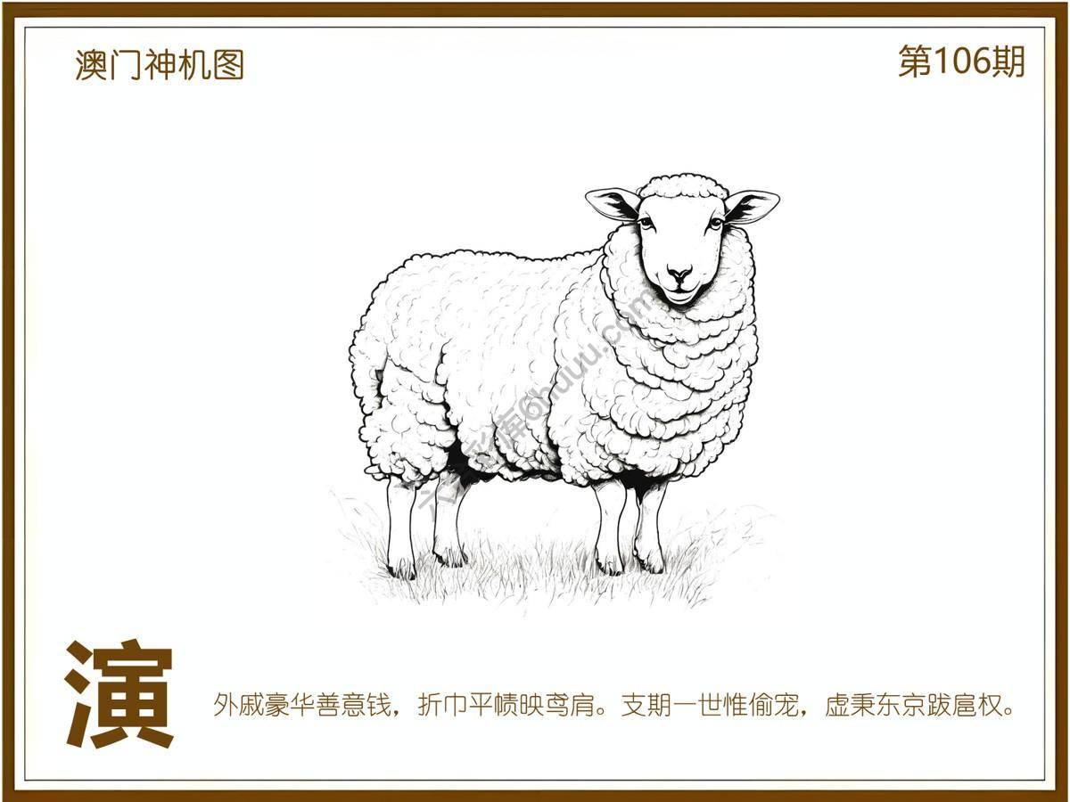 澳门神机图