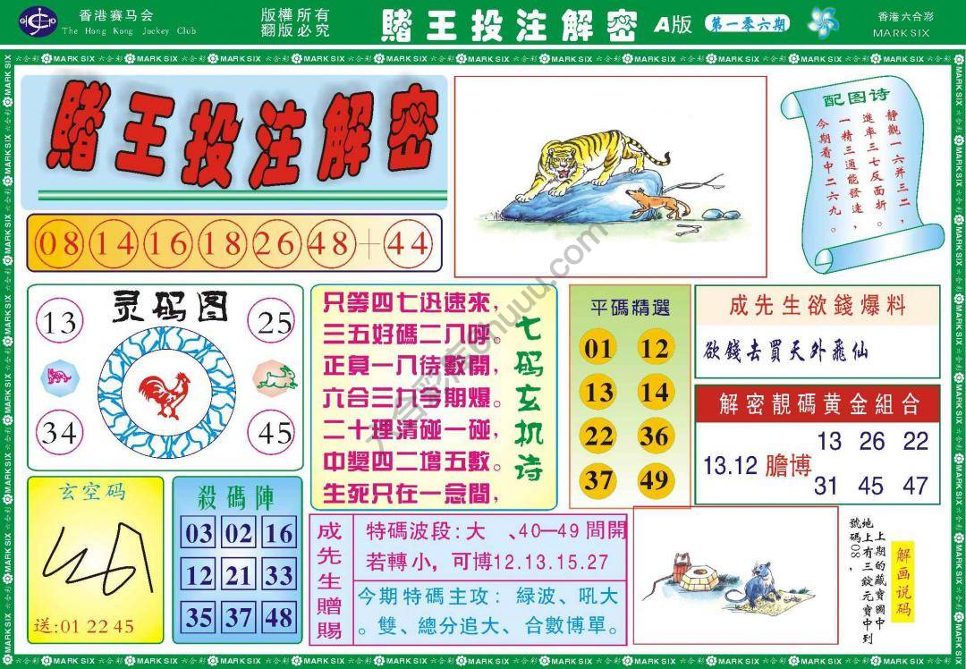 赌王投注解密