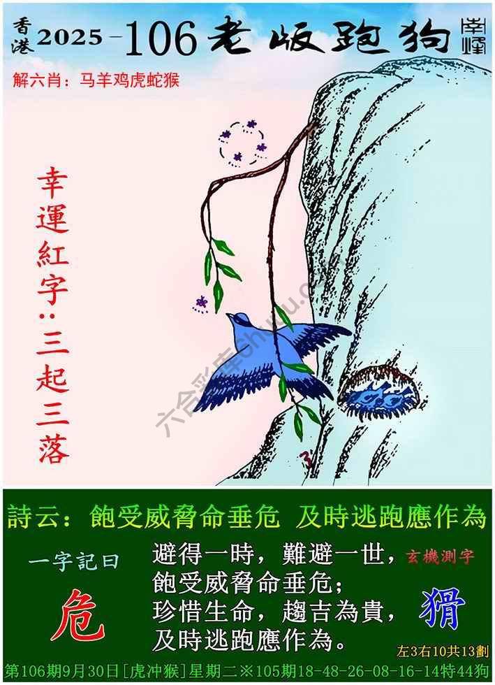 老版跑狗图