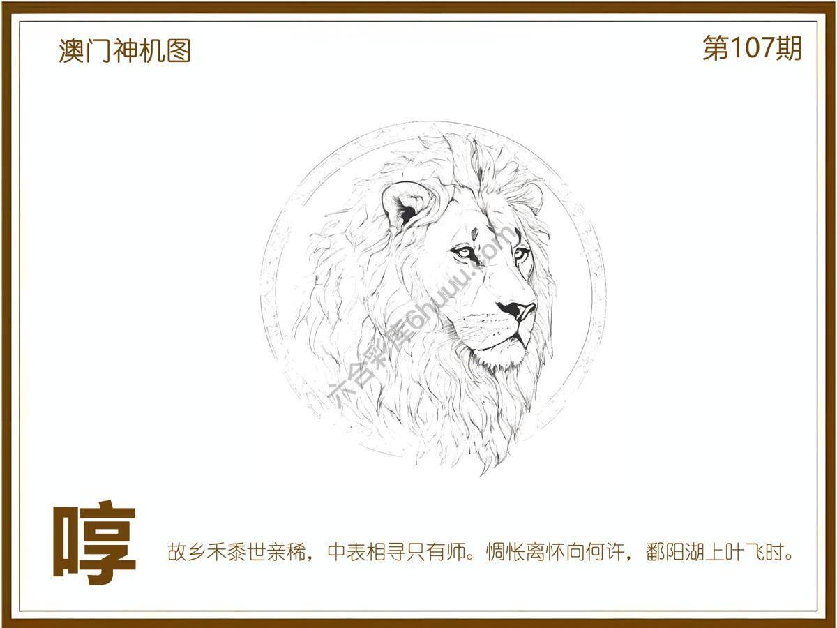 澳门神机图