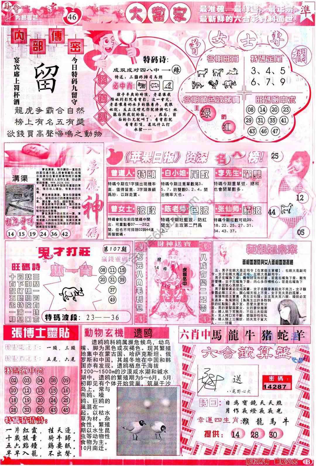 大当家