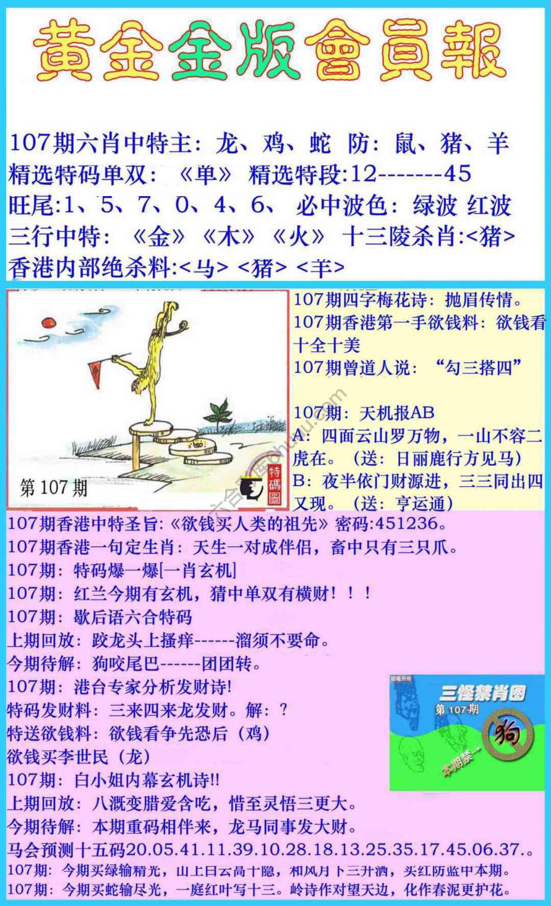黄金金版会员报