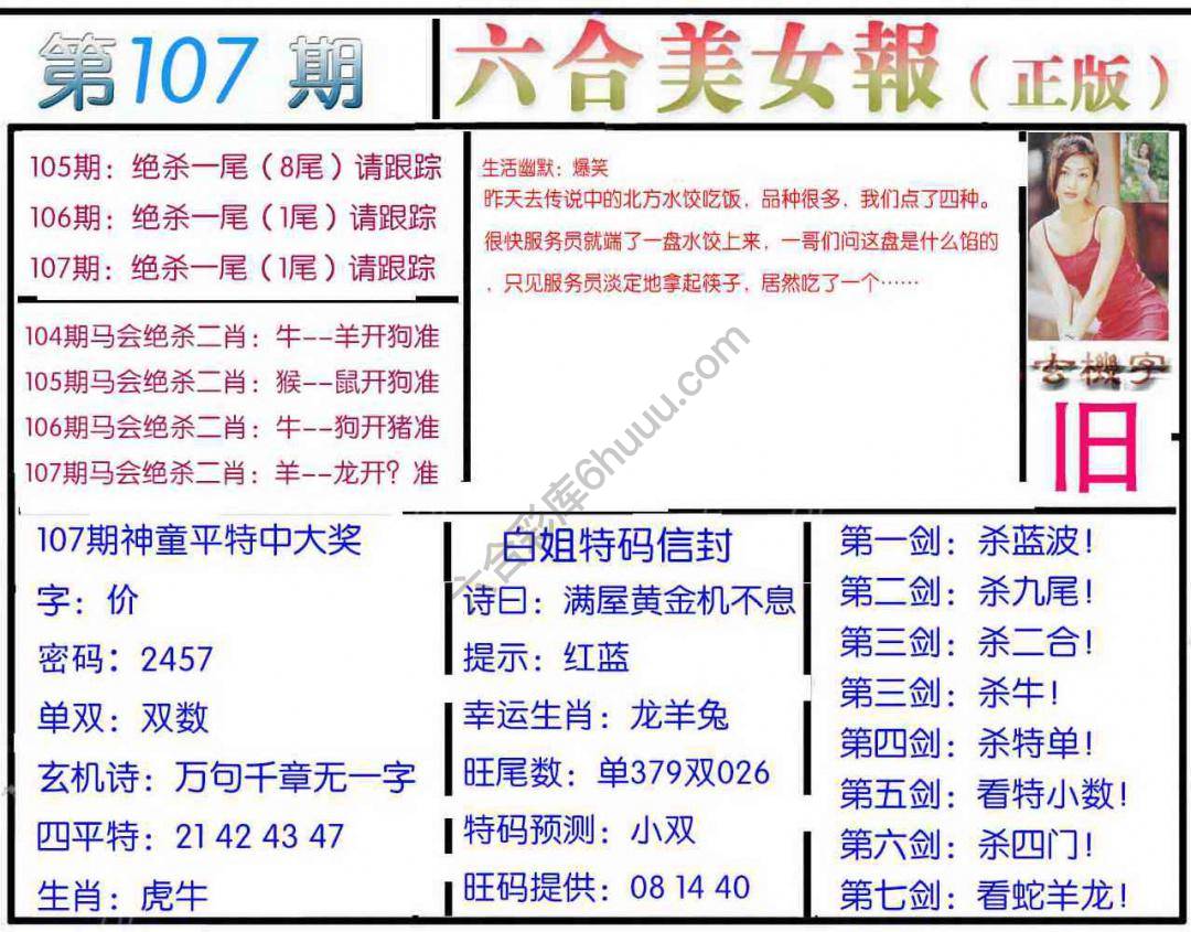 六合美女报