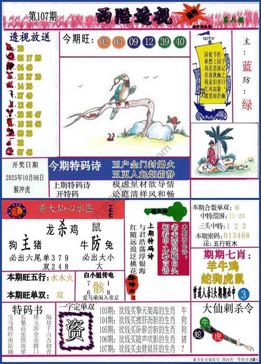 西陲透视（正版）