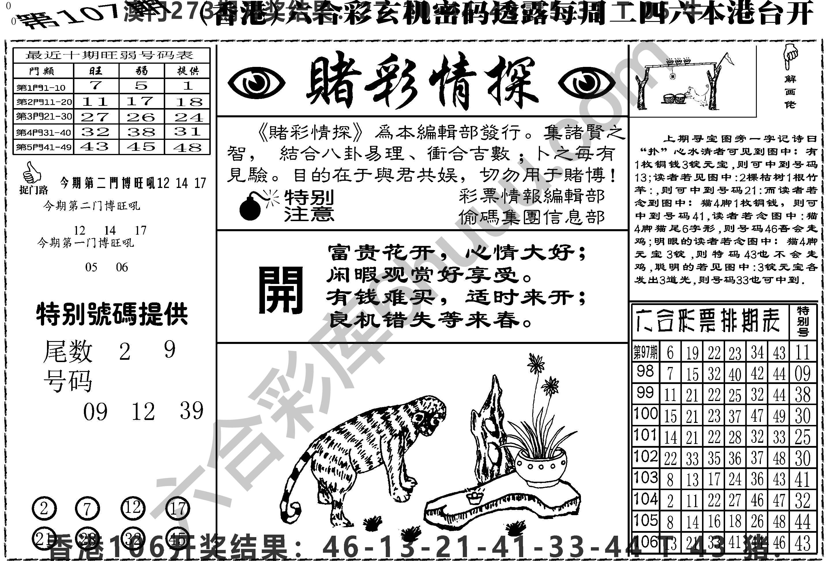 赌彩情探
