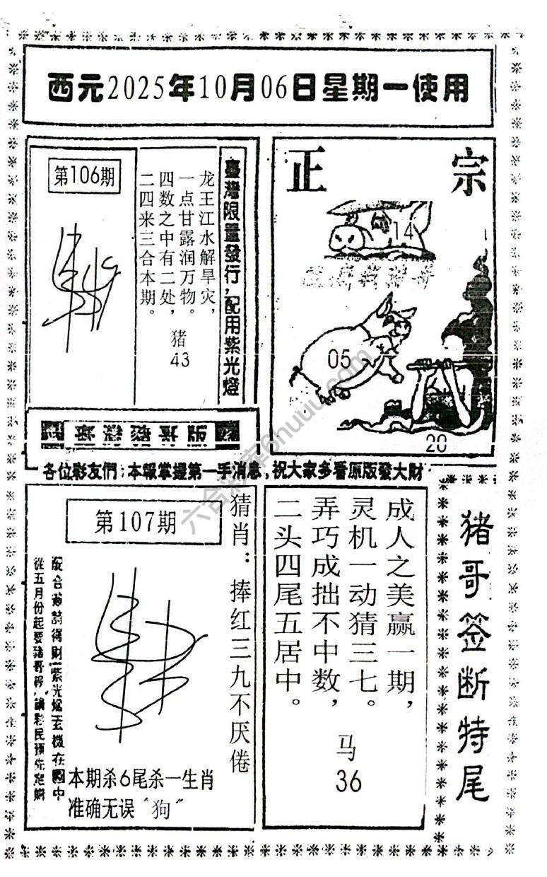 猪哥签断特尾