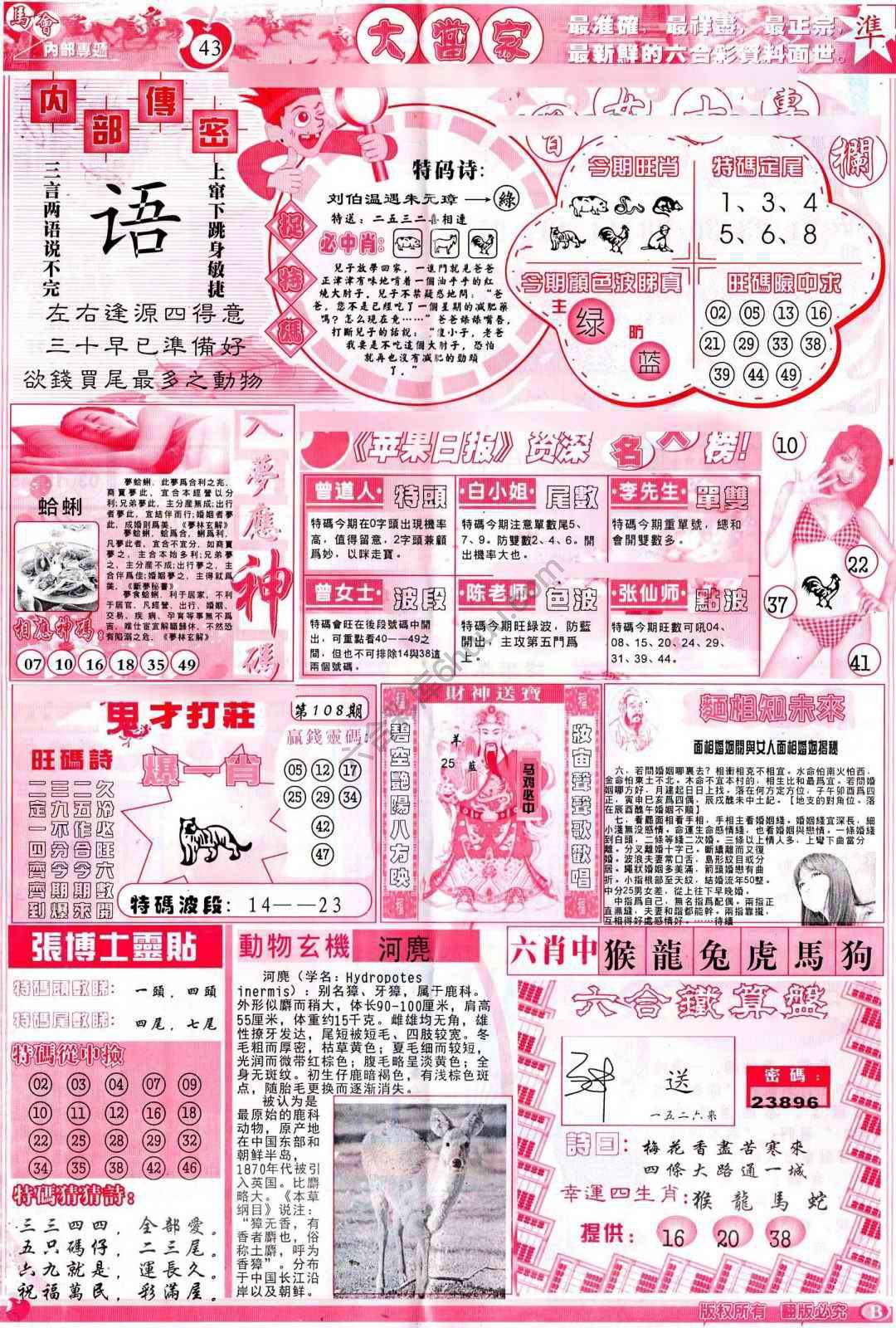 大当家