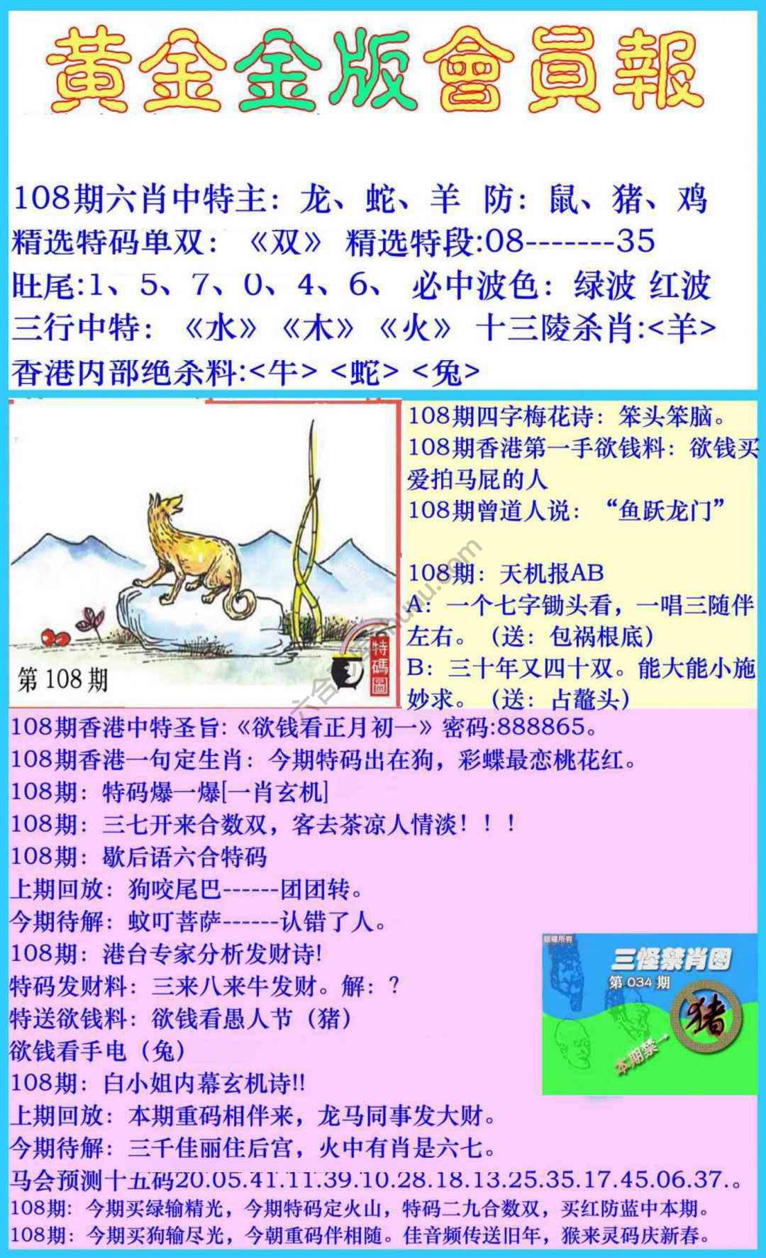 黄金金版会员报
