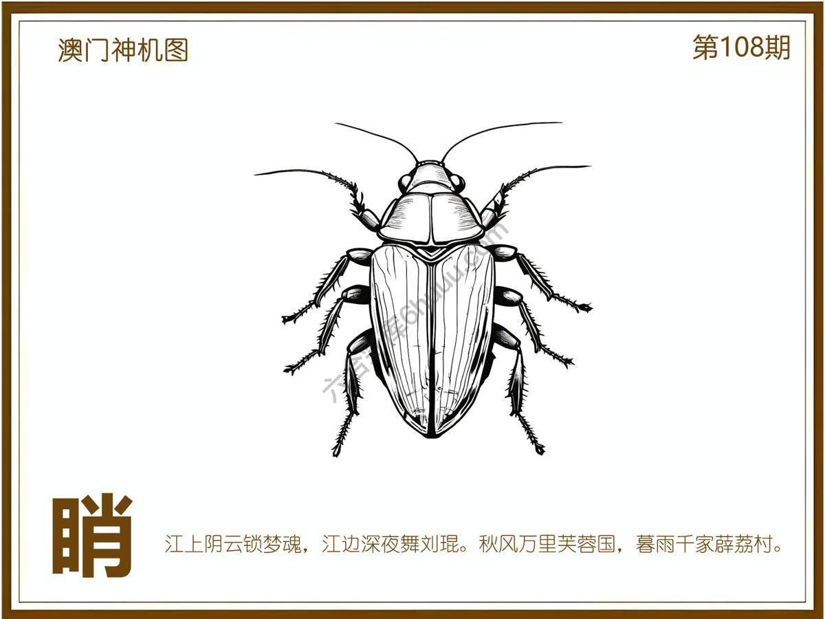 澳门神机图