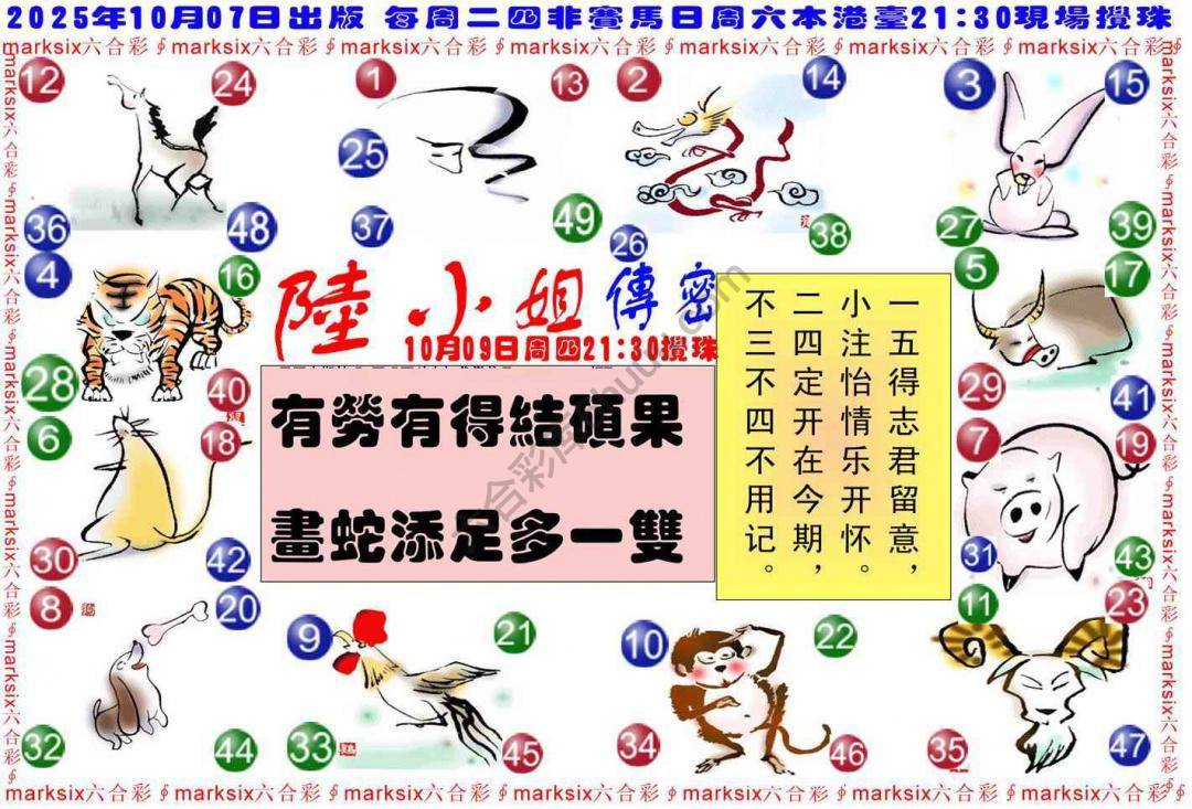 陆小姐传密