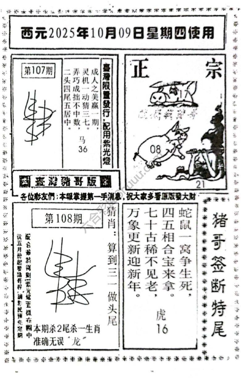 猪哥签断特尾