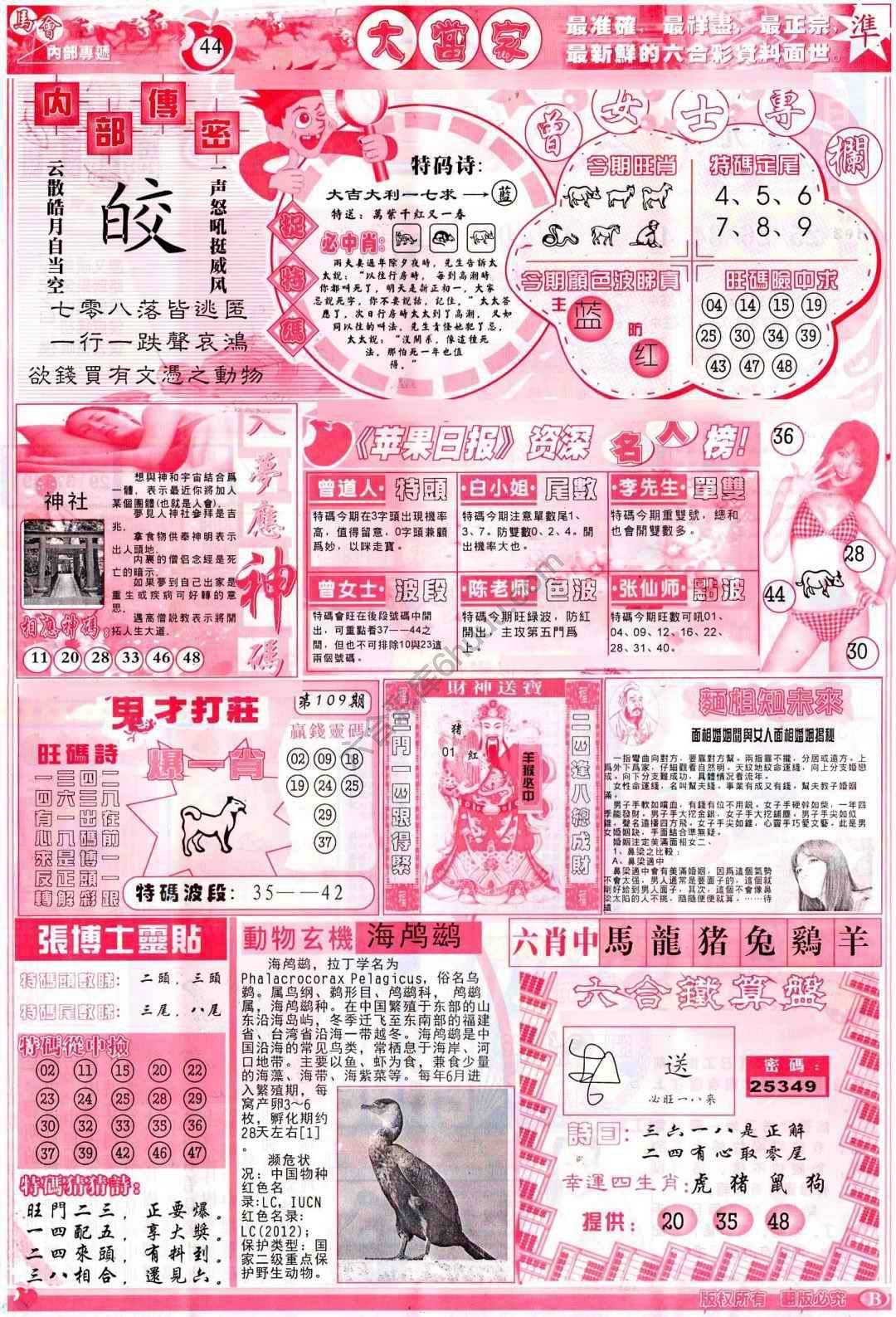 大当家