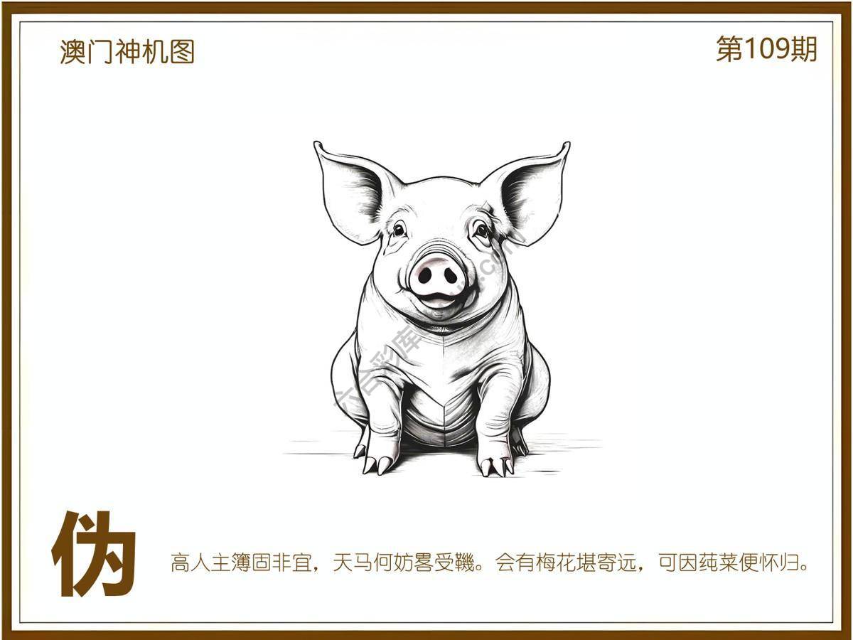 澳门神机图