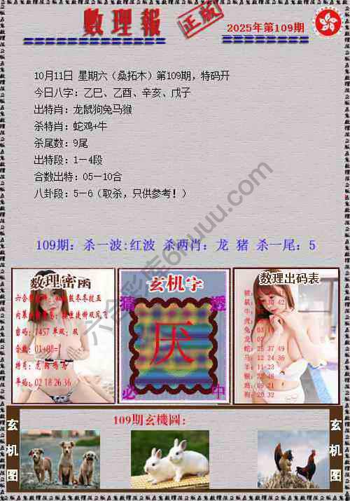 数理报