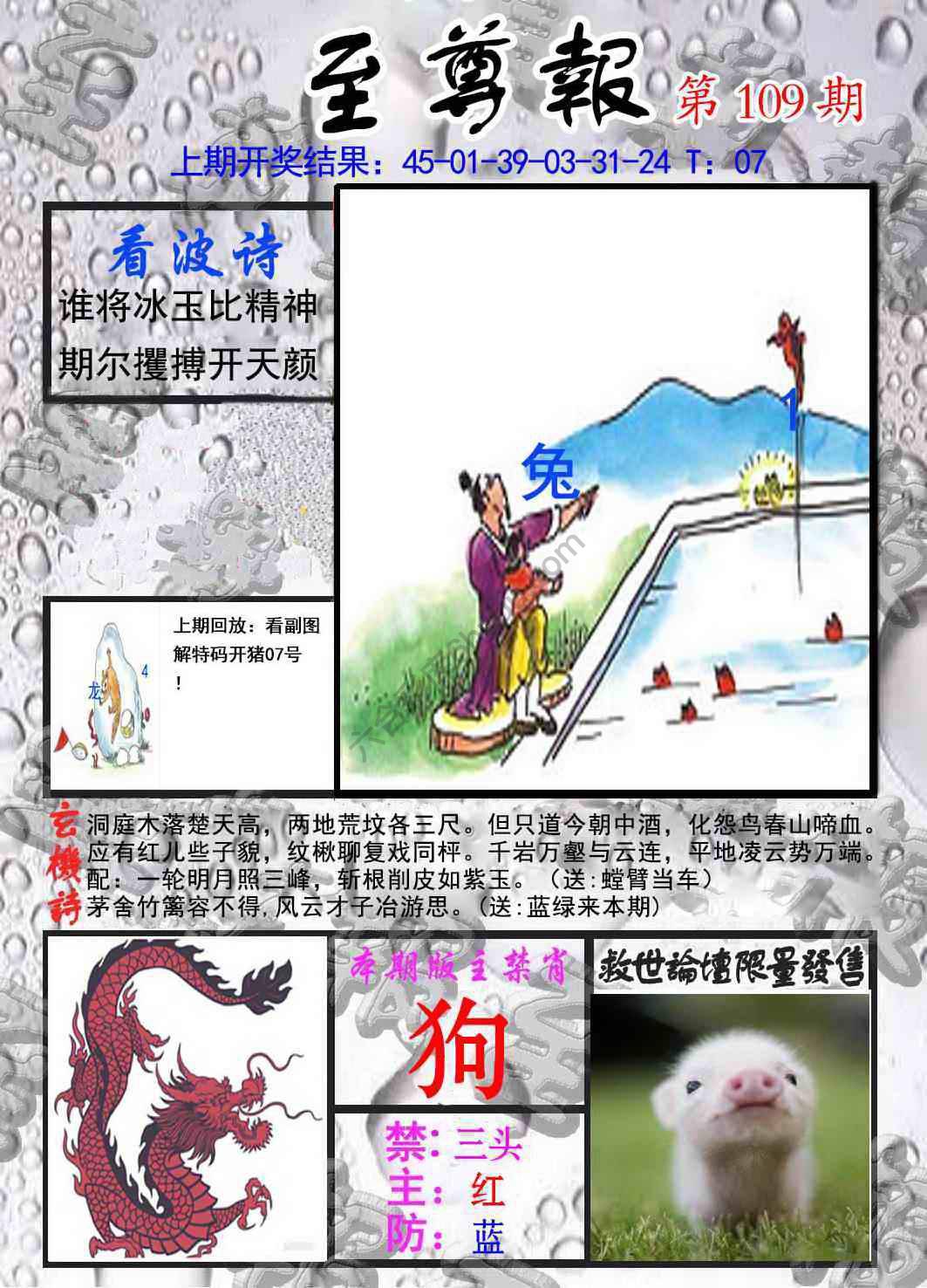 至尊报