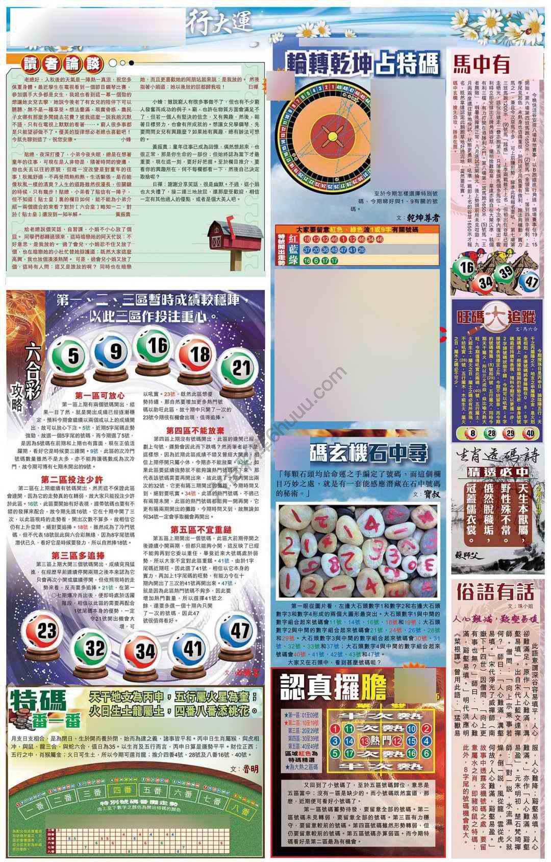 大版贴士皇