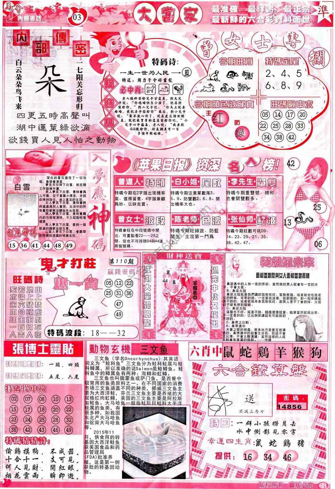 大当家