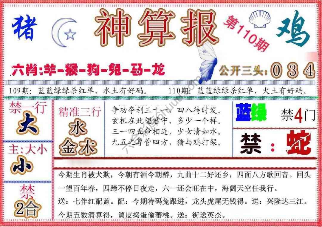 神算报新版