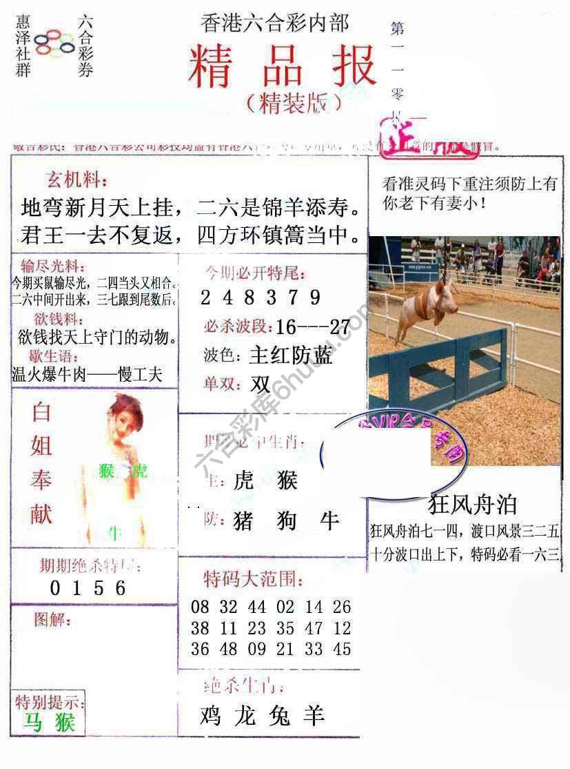 新精品报