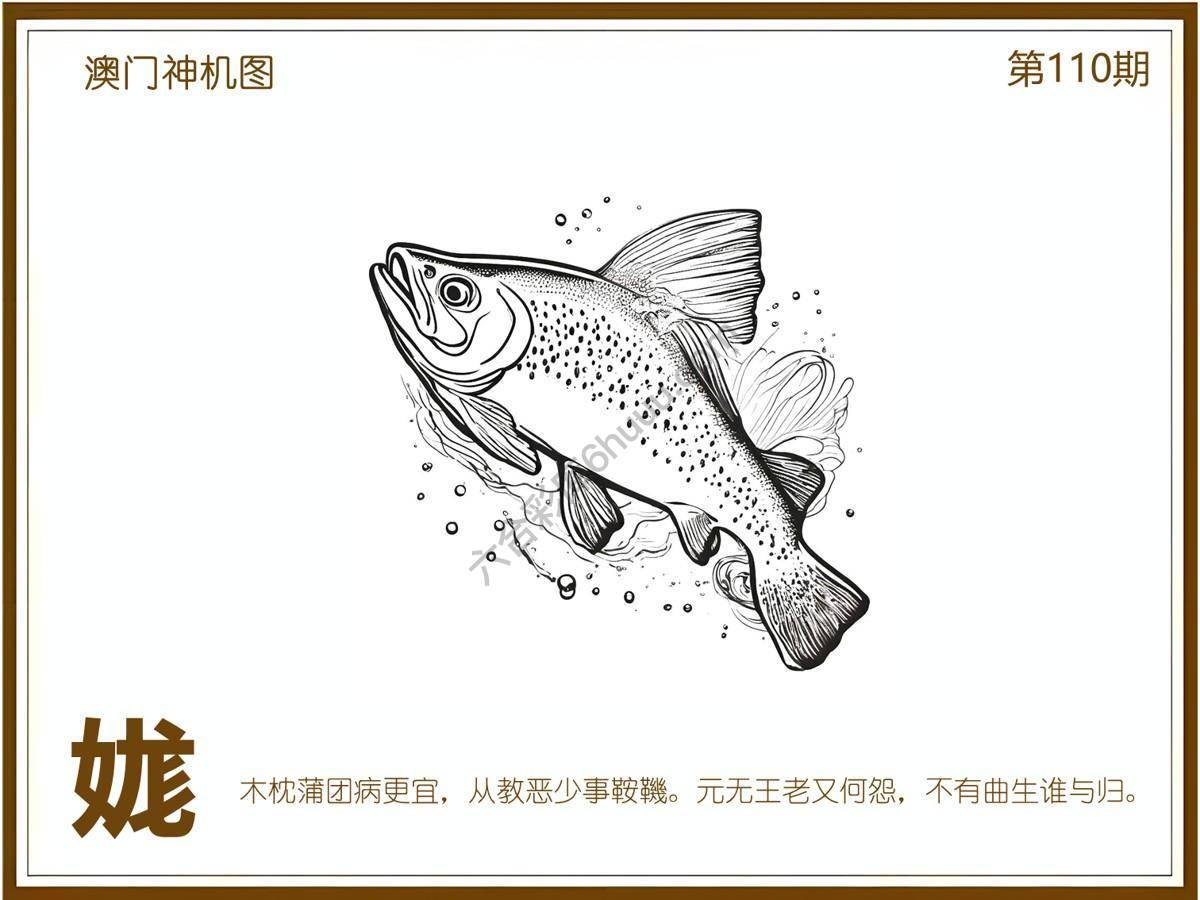 澳门神机图
