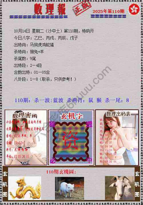 数理报