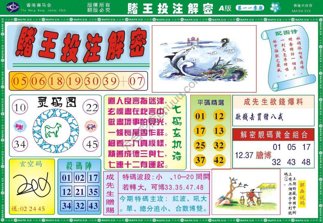 赌王投注解密