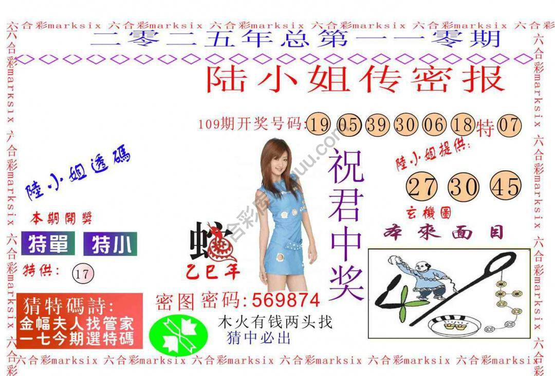陆小姐传密
