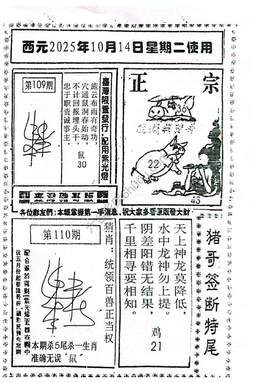 猪哥签断特尾