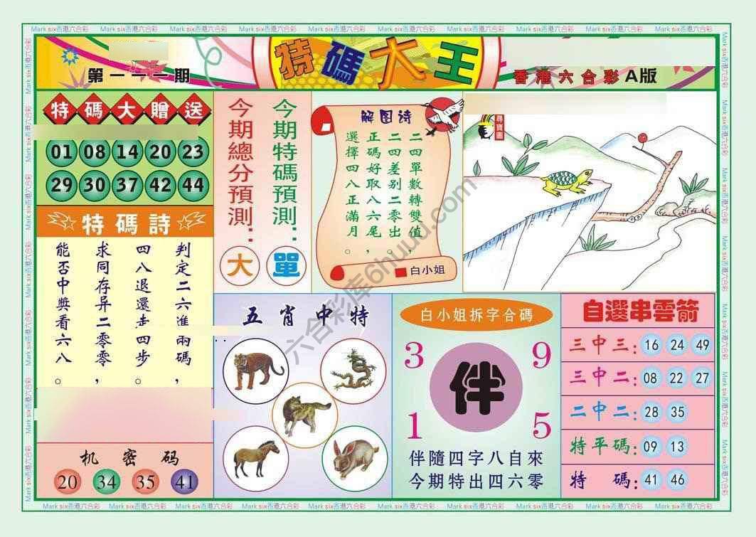 特码大王