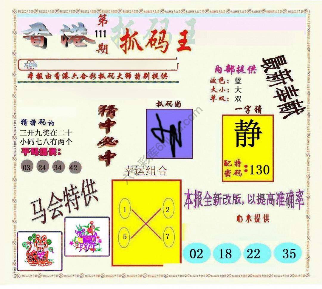 新抓码王