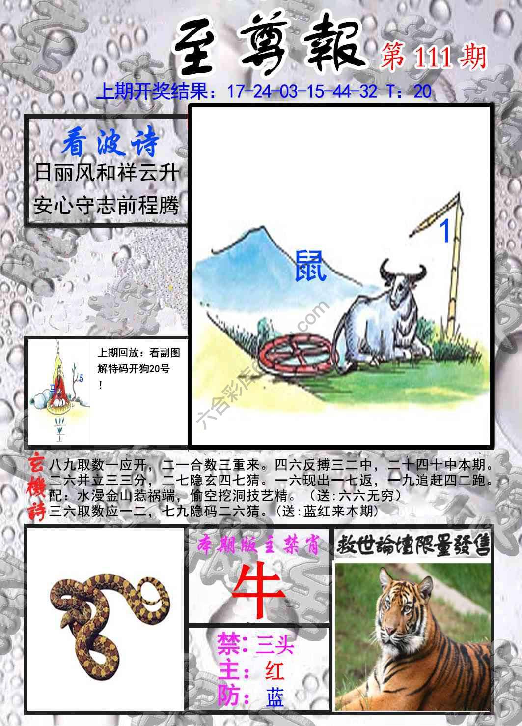 至尊报