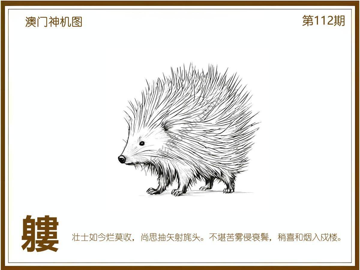 澳门神机图