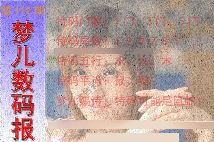 梦儿数码报