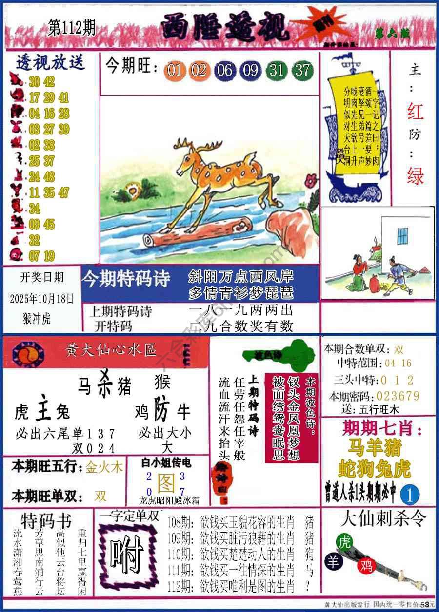 西陲透视（正版）