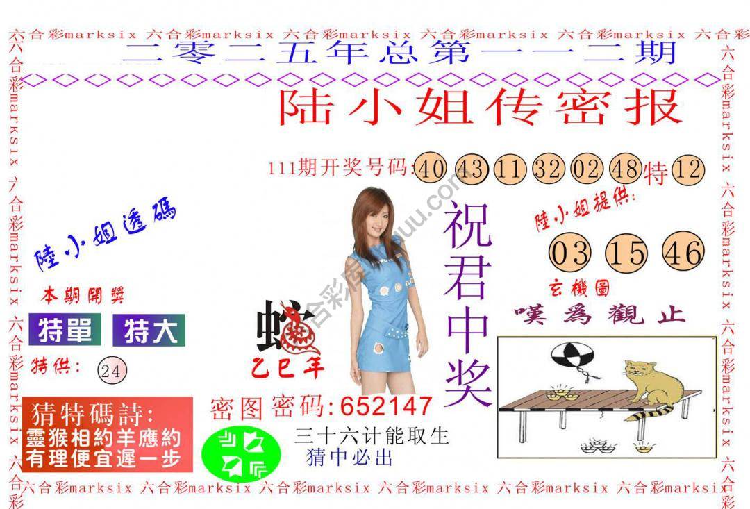 陆小姐传密